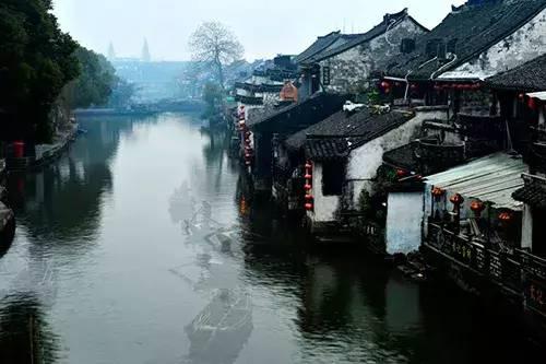张雨绮兔女郎登场！性感与纯真的完美结合